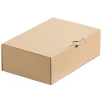 Faltschachtel Karton DHL Kleinpaket 240 x 160 x 80 mm Faltschachtel Karton DHL Kleinpaket 240 x 160 x 80 mm