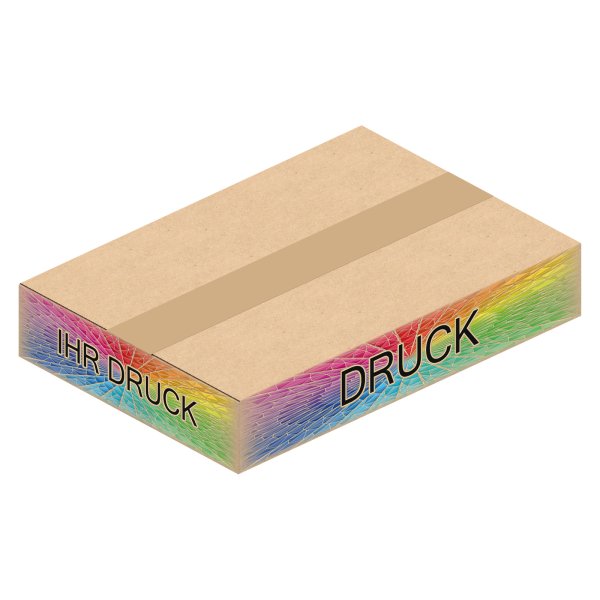 Faltkarton 310 x 215 x 55 mm A4+ mit Digitaldruck