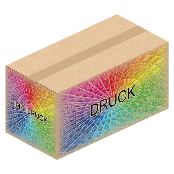 Faltkarton 1000 x 500 x 200-500 mm mit Digitaldruck