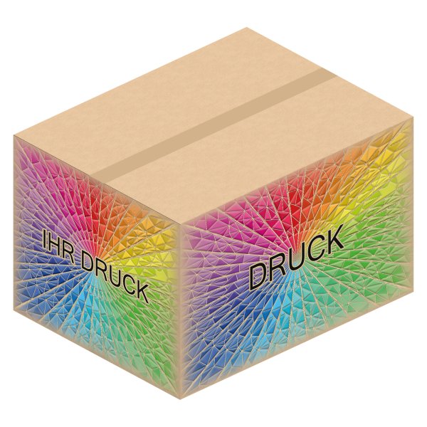 Faltkarton 755 x 580 x 465 mm (2-wellig) mit Digitaldruck