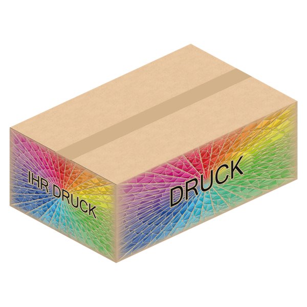Faltkarton 550 x 350 x 200 mm mit Digitaldruck
