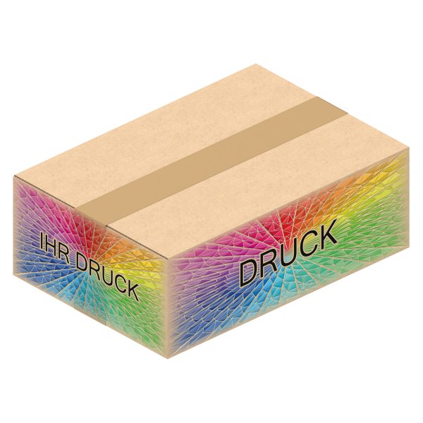 Faltkarton 242 x 167 x 84 mm (2-wellig) mit Digitaldruck