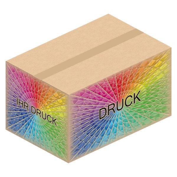 Faltkarton 590 x 390 x 330 mm mit Digitaldruck