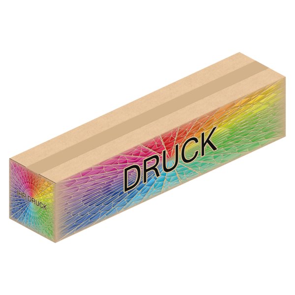 Faltkarton 550 x 120 x 120 mm mit Digitaldruck