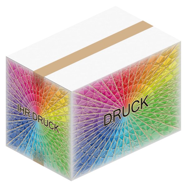 Faltkarton 480 x 310 x 330 mm (2-wellig) Weiß mit Digitaldruck
