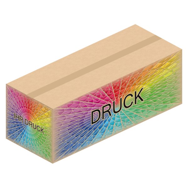 Faltkarton 985 x 385 x 350 mm (2-wellig) mit Digitaldruck