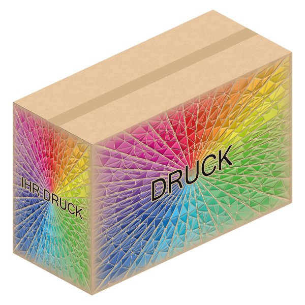 Faltkarton 865 x 370 x 450-550 mm (2-wellig) mit Digitaldruck