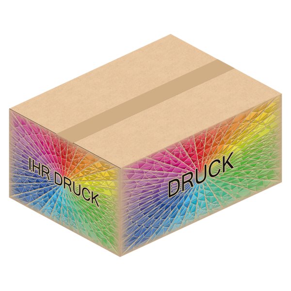 Faltkarton 390 x 290 x 180 mm mit Digitaldruck