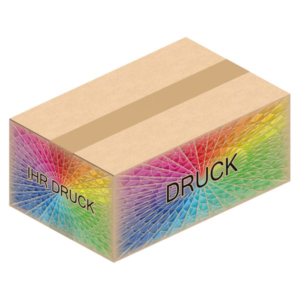 Faltkarton 700 x 450 x 145-290 mm (2-wellig) mit Digitaldruck