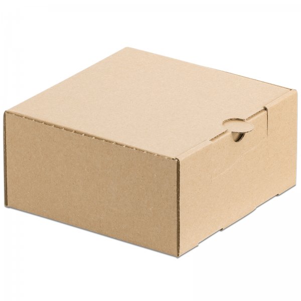Faltschachtel Karton DHL Kleinpaket 160 x 160 x 80 mm