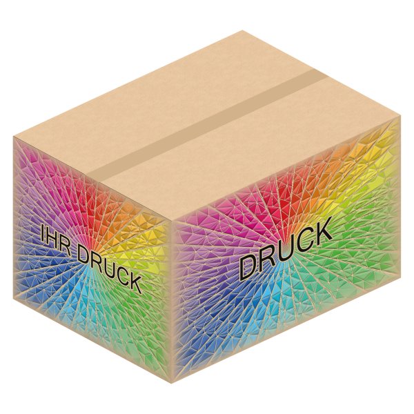 Faltkarton 785 x 585 x 300-470 mm (2-wellig) mit Digitaldruck