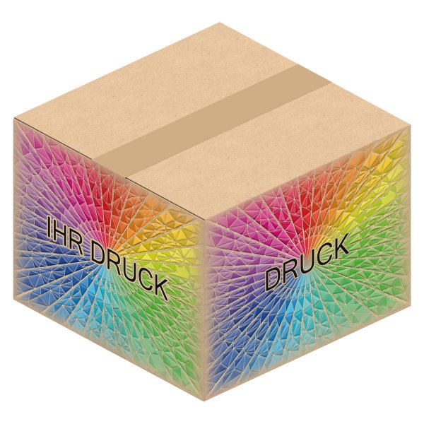 Faltkarton 250 x 250 x 185 mm (2-wellig) mit Digitaldruck