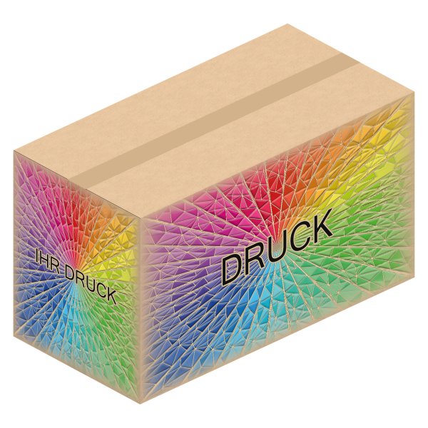 Faltkarton 700 x 350 x 400 mm (2-wellig) mit Digitaldruck
