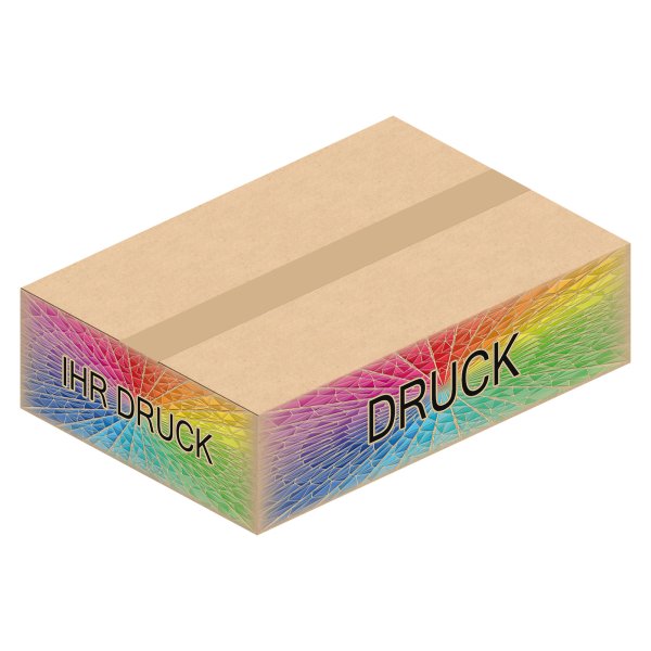 Faltkarton 437 x 298 x 104 mm (2-wellig) A3+ mit Digitaldruck