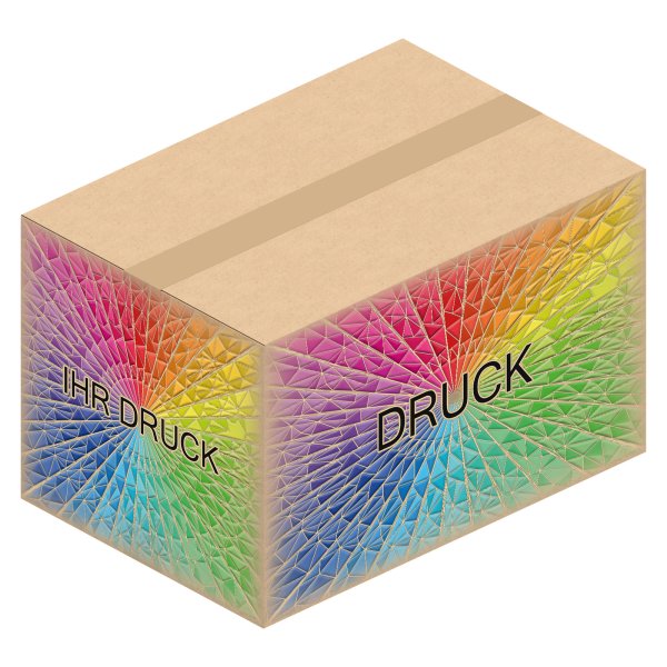 Faltkarton 480 x 330 x 300 mm mit Digitaldruck