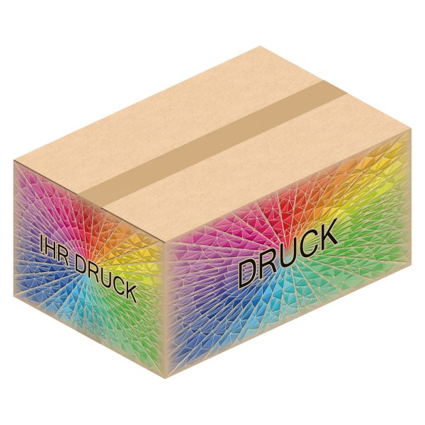 Faltkarton 740 x 490 x 330 mm (2-wellig) mit Digitaldruck