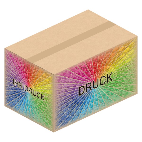 Faltkarton 550 x 350 x 220-320 mm (2-wellig) mit Digitaldruck