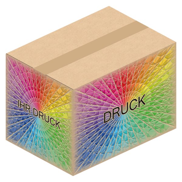 Faltkarton 340 x 240 x 240 mm (2-wellig) mit Digitaldruck