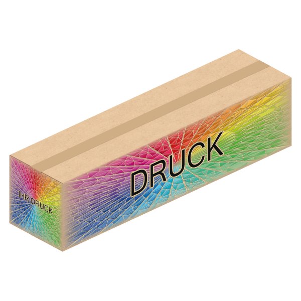 Faltkarton 1200 x 300 x 300 mm (2-wellig) mit Digitaldruck