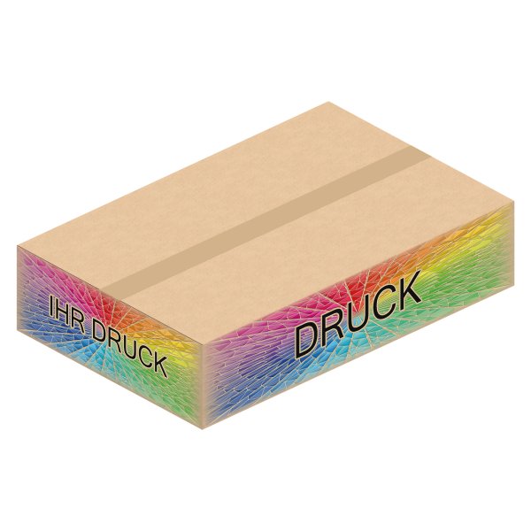 Faltkarton 700 x 450 x 160 mm mit Digitaldruck