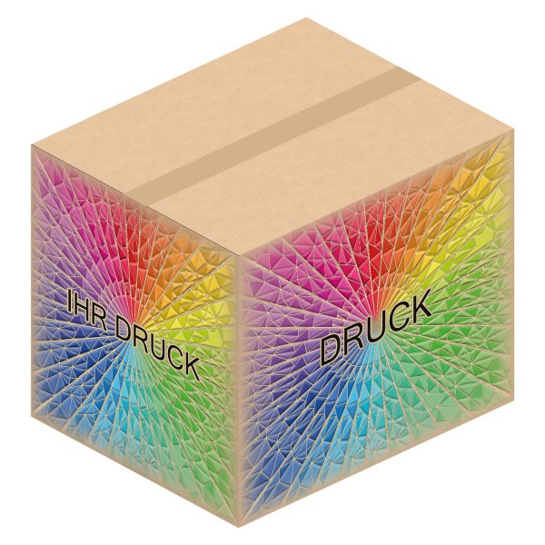 Faltkarton 540 x 440 x 450 mm (2-wellig) mit Digitaldruck