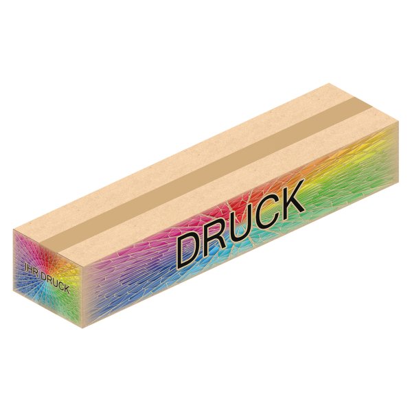 Faltkarton 790 x 190 x 130 mm (2-wellig) mit Digitaldruck