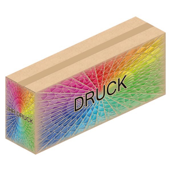 Faltkarton 1000 x 250 x 400 mm (2-wellig) mit Digitaldruck