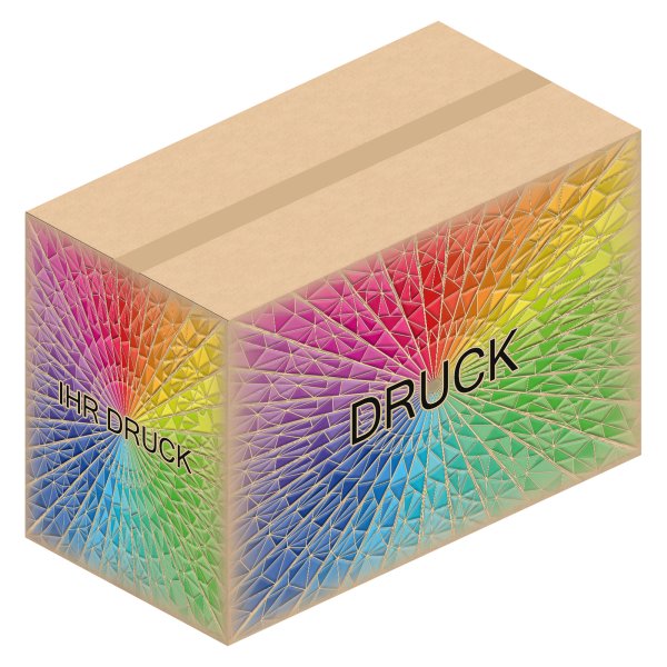 Faltkarton 745 x 395 x 395-495 mm mit Digitaldruck