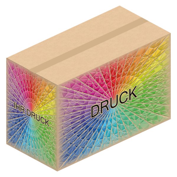 Faltkarton 780 x 380 x 500 mm (2-wellig) mit Digitaldruck