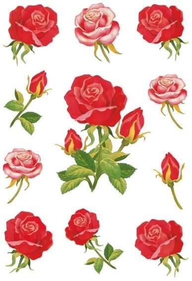 HERMA 3581 10x Sticker DECOR Rosen