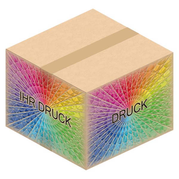 Faltkarton 394 x 394 x 288 mm mit Digitaldruck