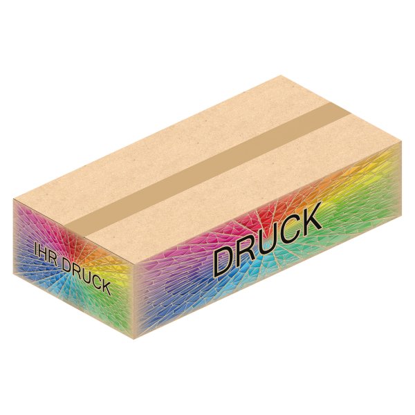 Faltkarton 590 x 290 x 140 mm mit Digitaldruck